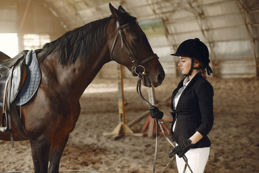 Elevating Your Equestrian Style with Premium Accessories